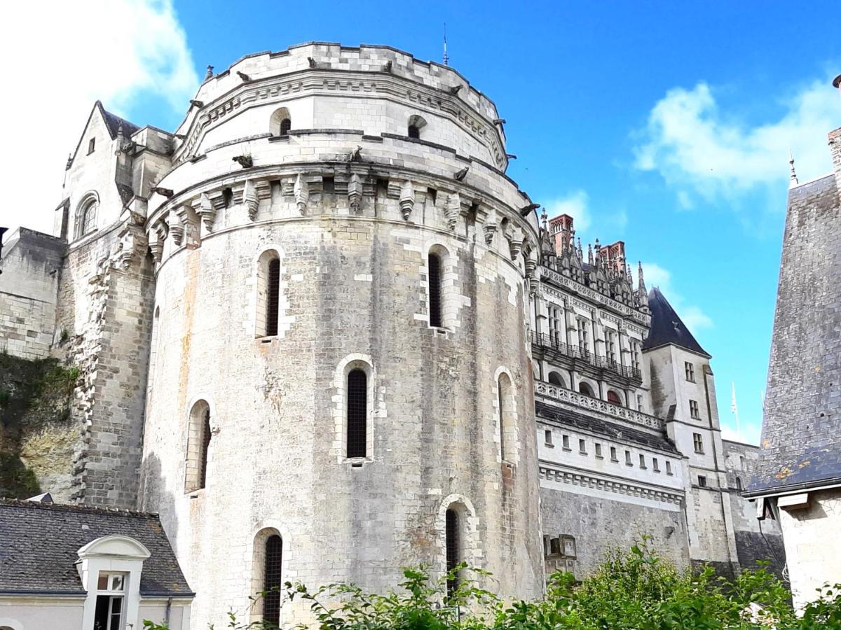En Plein Coeur : Charmant Gite Centre Amboise Exterior photo